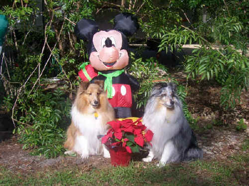 Zak & Zo with their favourite mouse!