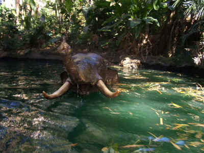 Jungle Cruise