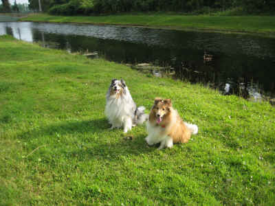 Zak & Zoë like Fort Wilderness - it's their favourite campground!