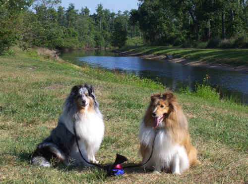 They looked forward to their walks by the river.