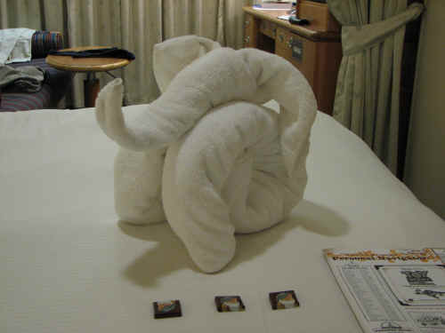 There was a new "towel critter" every night!
