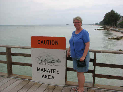 This is the closest she got to a manatee!