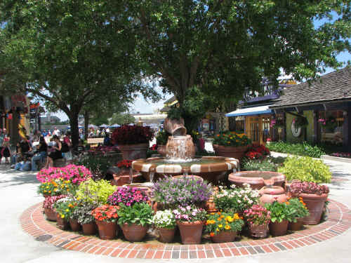 The flowers at Downtown Disney are great this year!