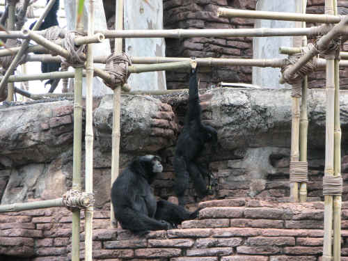 I love the mother's expression here!