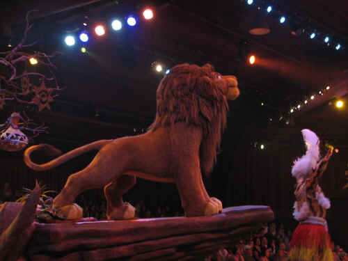 Festival of the Lion King