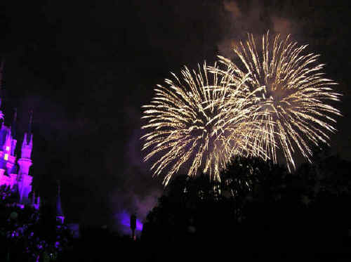 Fireworks from the Rose Garden