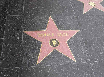Donald's star on the walk of fame!