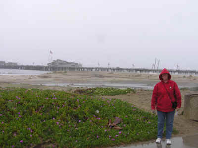 Stearn's Wharf at Santa Barbara