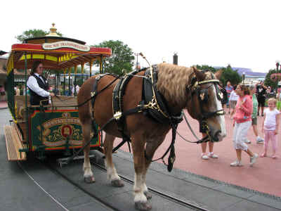 The horse-drawn trolley - pulled by Fritz
