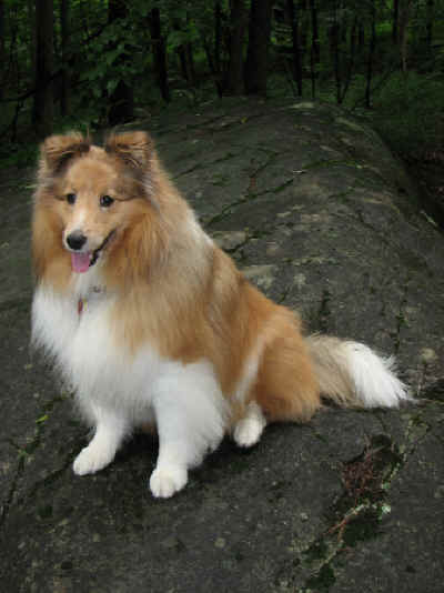 Zak at the KOA campground