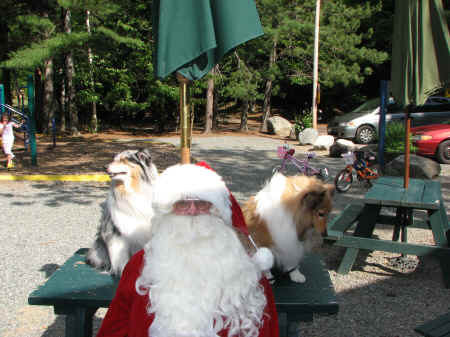 The dogs are not big fans of Santa!