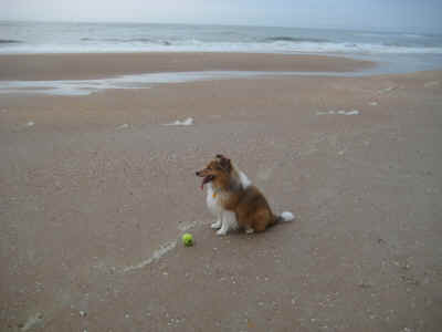 Zak just loves the beach