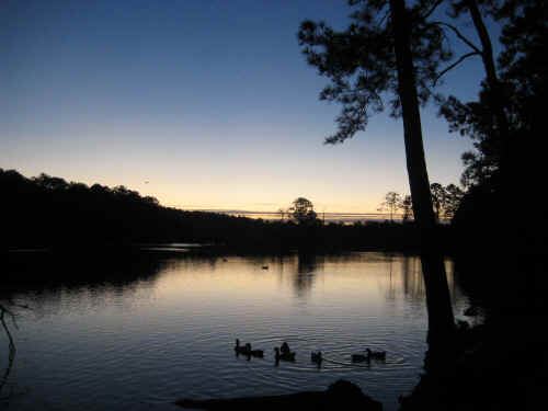 Sunrise in the Savannah South KOA Campground