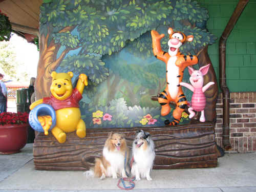 The dogs at Pooh Corner