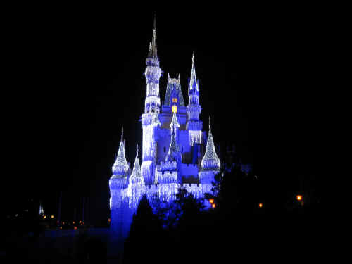 Cinderella Castle with lights!