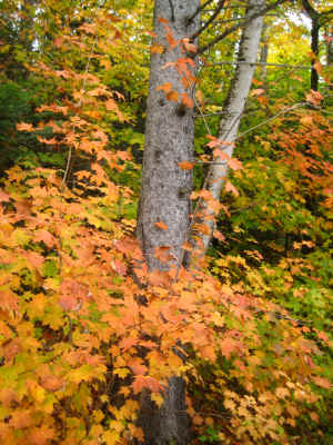 The colours around Dixville Notch were glorious