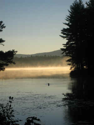 The morning view from our campsite at Chocorua, NH