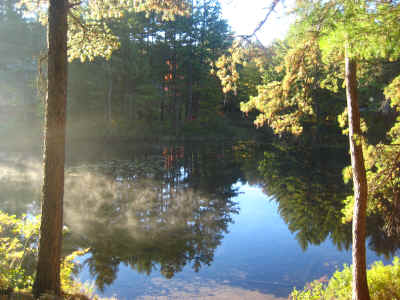 Another morning view from the campsite at Chocorua. NH