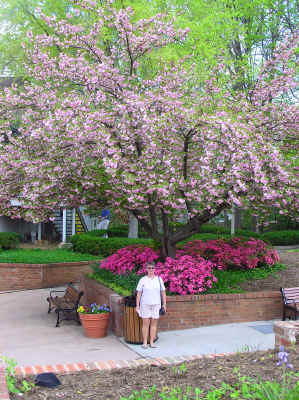 Everything was in blossom at the Grand Ole Opry House