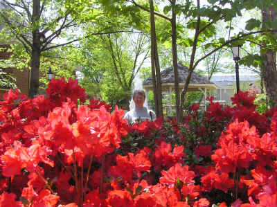 Amazing flowers at the Opryland Hotel