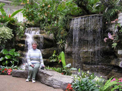 A waterfall in the hotel atrium