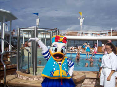 Daisy at the Quiet Cove Pool