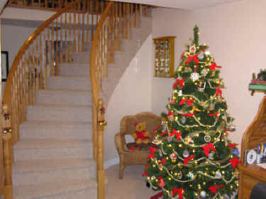 Our tree is decorated entirely in Disney ornaments
