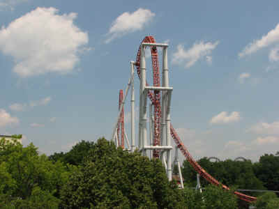 You have to be crazy to ride this . . .