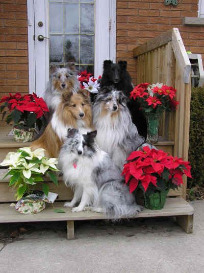 Family Portrait - Christmas 2005