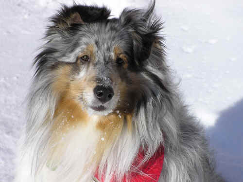 Zoë