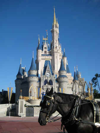 The castle on our last day - and the horse which took us up Main Street USA