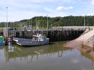 Bay of Fundy tides