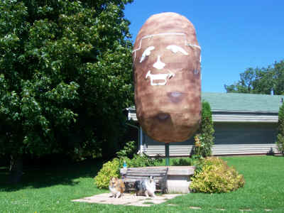 Zak & Zoe liked the Potato Museum at O'Leary, PEI