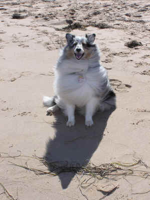 A windblown Zoe